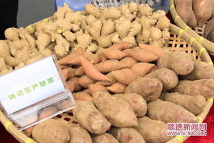 顺德名优农产品展区深受市民青睐，食用农产品引领健康新风尚
