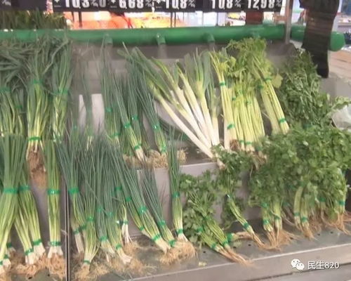 舌尖上的守护 食用农产品快速检测让健康中国战略落地生根