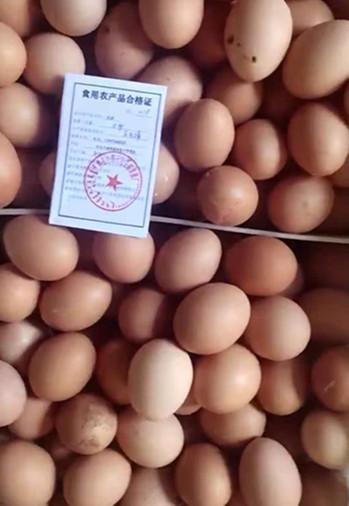 科左中旗开具第一张食用农产品合格证开启全面试行食用农产品合格证管理